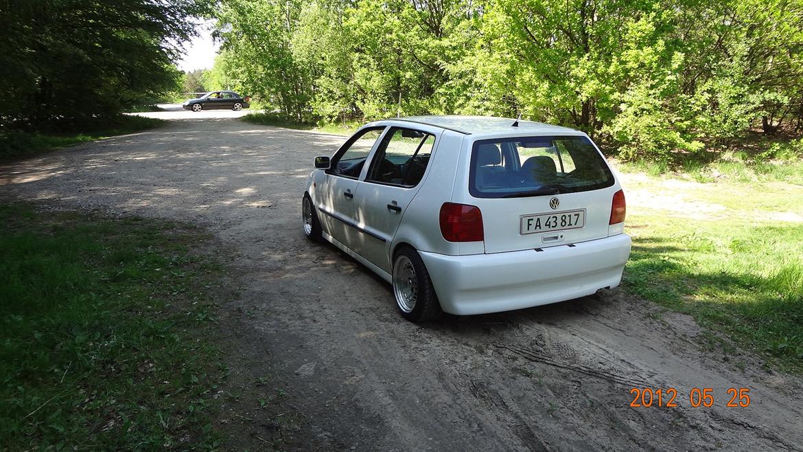 VW polo 6n billede 6