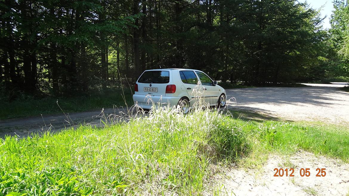 VW polo 6n billede 9