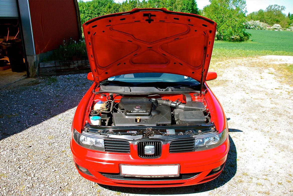 Seat Leon 1M Sport (Solgt) billede 5