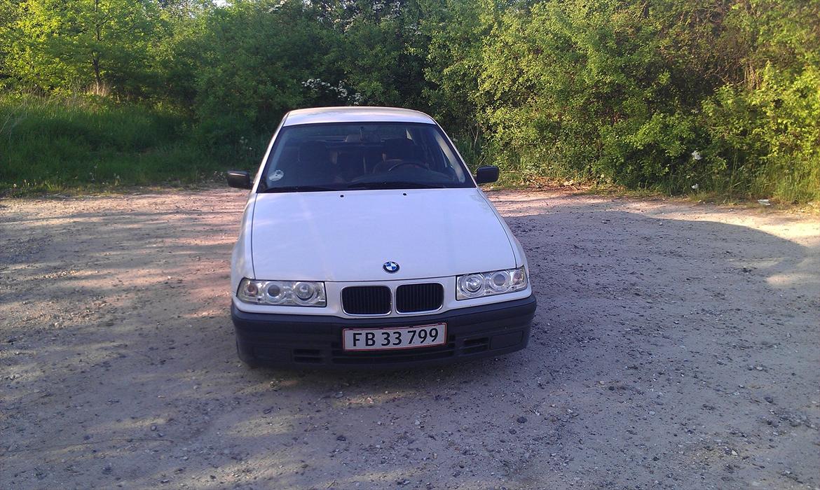 BMW 318 is billede 4