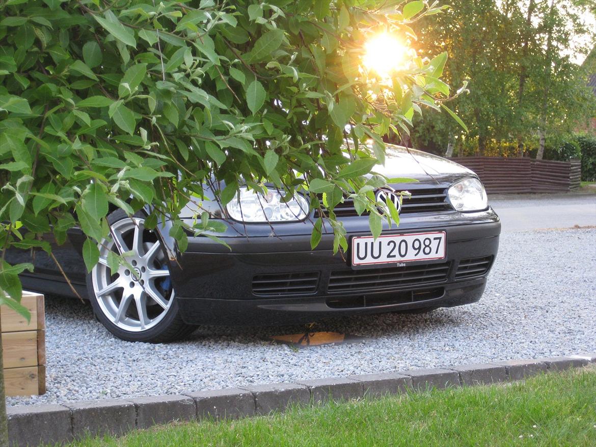 VW Golf  IV TDI,  billede 3