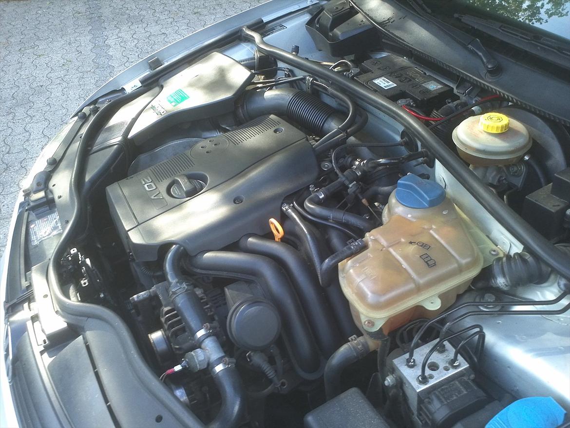 VW Passat 3b billede 16