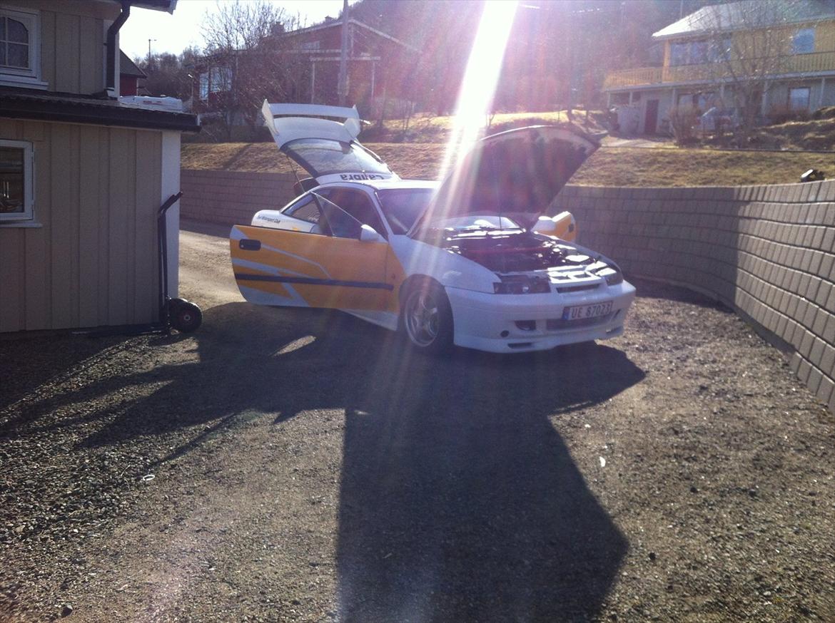 Opel Calibra billede 11