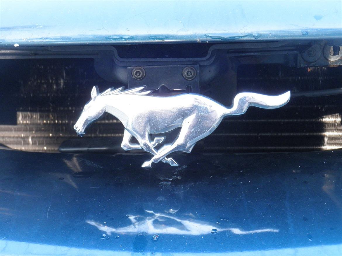 Ford mustang GT billede 9