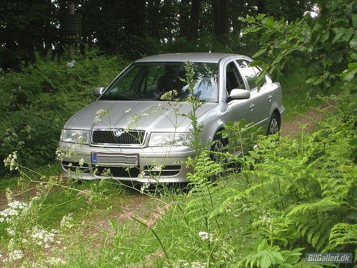 Skoda Octavia nysynet billede 8