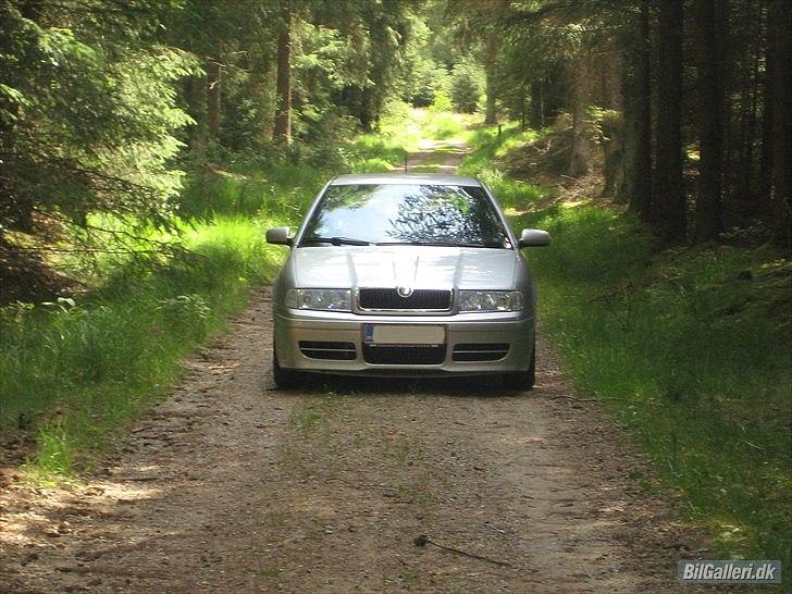 Skoda Octavia nysynet billede 10