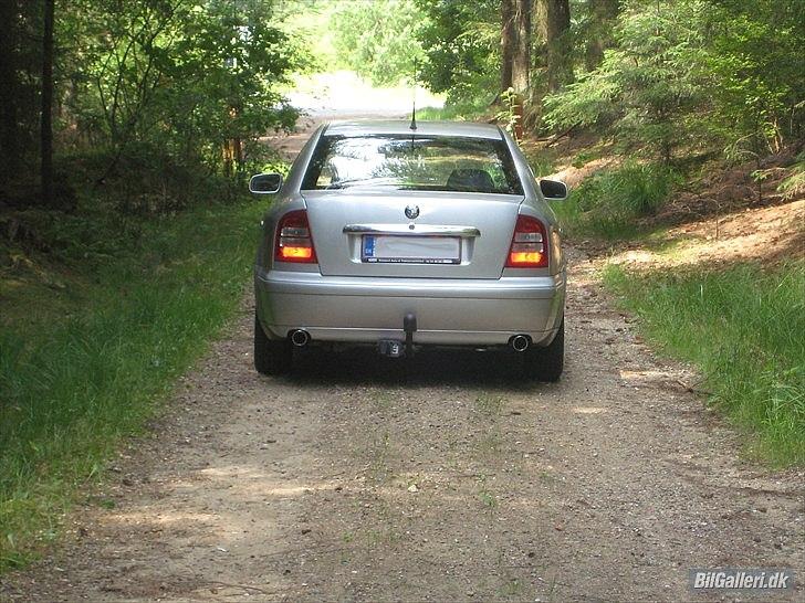 Skoda Octavia nysynet billede 11