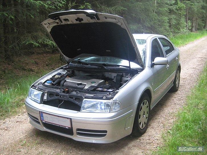 Skoda Octavia nysynet billede 13