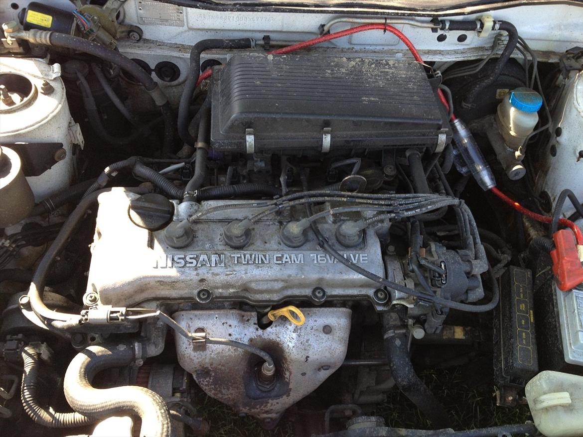 Nissan Primerea SRI billede 10