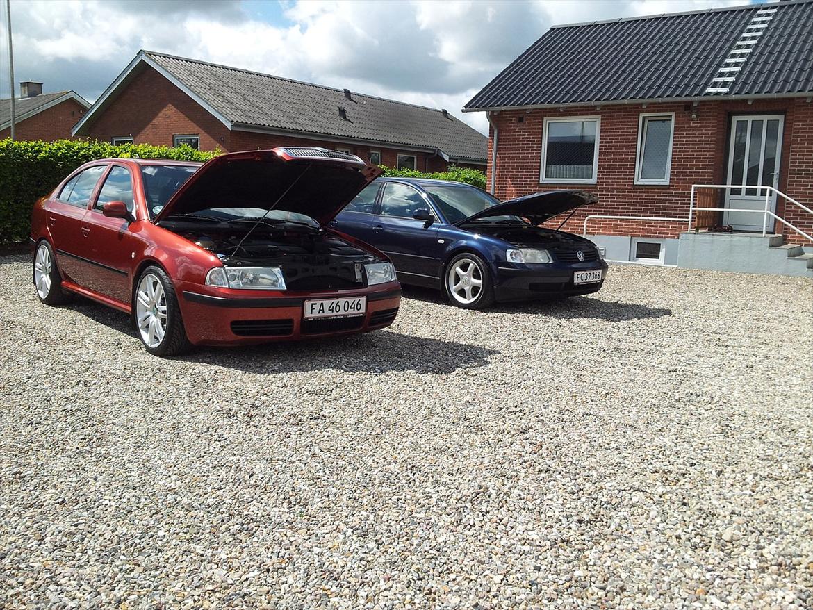 Skoda octavia TDI billede 4