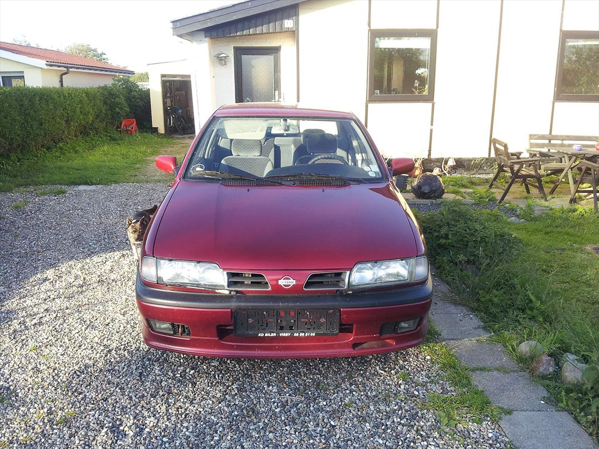 Nissan Primera billede 2
