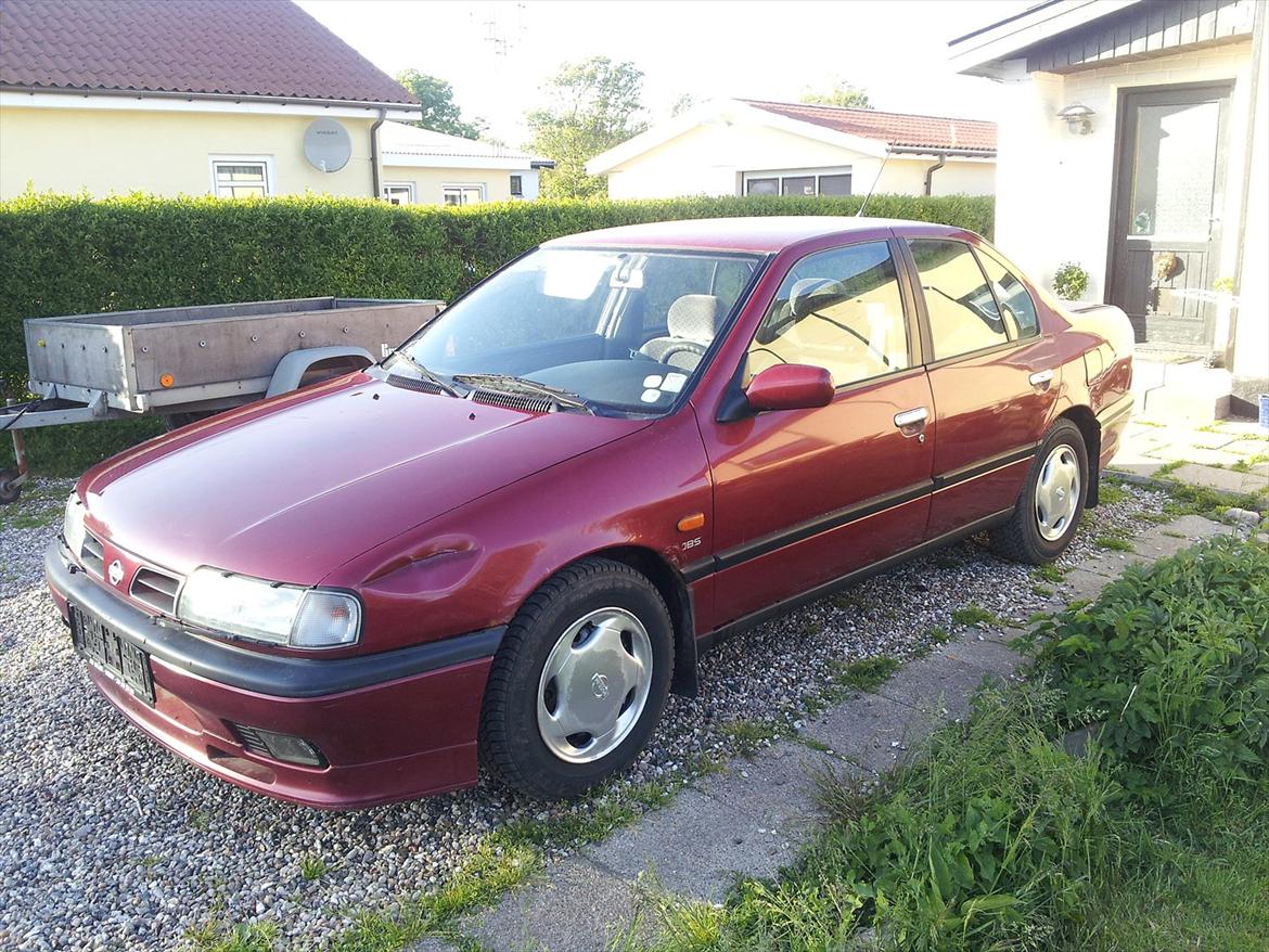 Nissan Primera billede 3