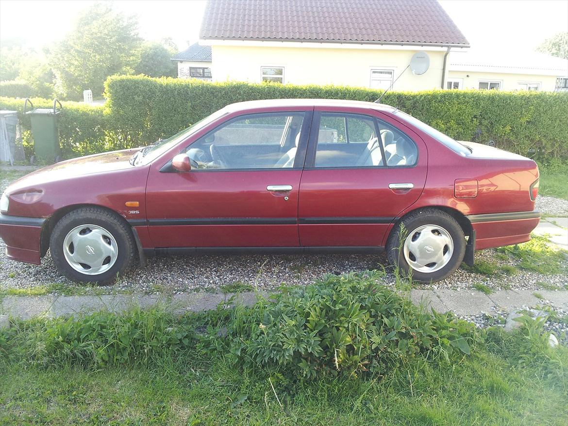 Nissan Primera billede 4