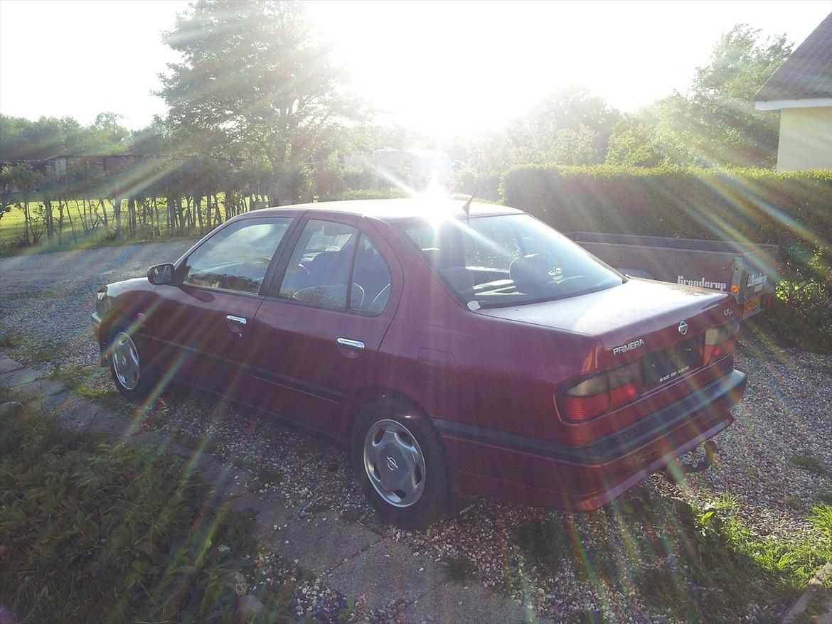 Nissan Primera billede 5