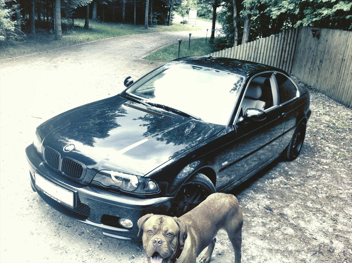 BMW e46 328 ci coupe SOLGT billede 2