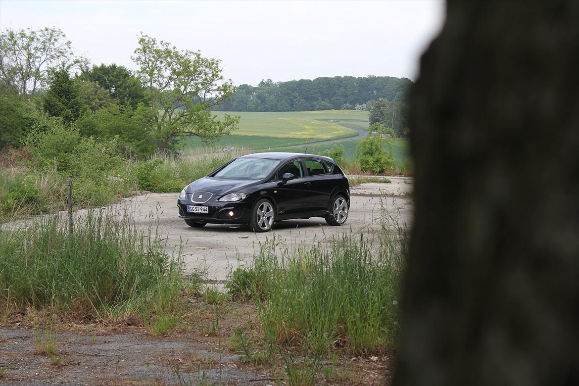 Seat Leon 1,6TDI style ''copa'' Ecomotive. billede 4