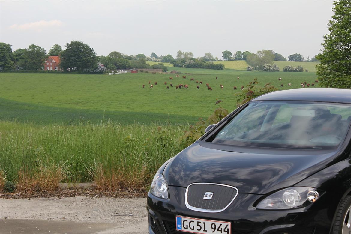 Seat Leon 1,6TDI style ''copa'' Ecomotive. billede 7