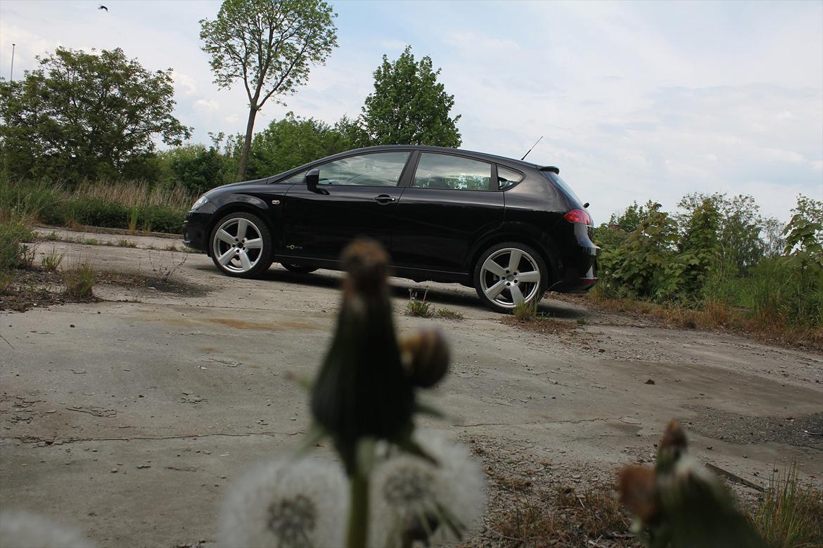 Seat Leon 1,6TDI style ''copa'' Ecomotive. billede 8