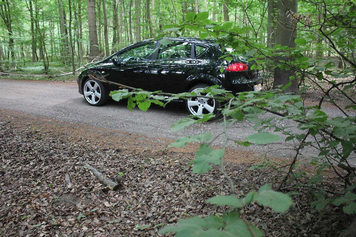 Seat Leon 1,6TDI style ''copa'' Ecomotive. billede 10