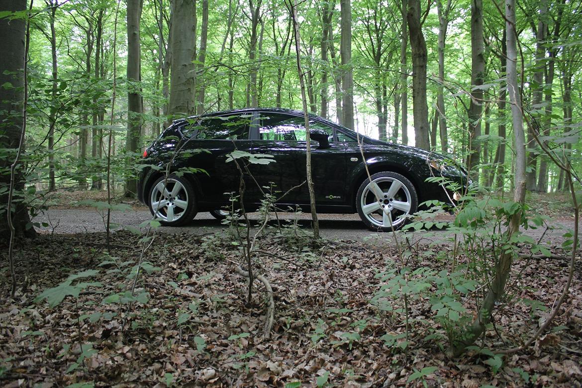 Seat Leon 1,6TDI style ''copa'' Ecomotive. billede 14