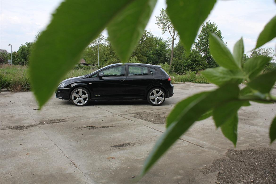 Seat Leon 1,6TDI style ''copa'' Ecomotive. billede 15