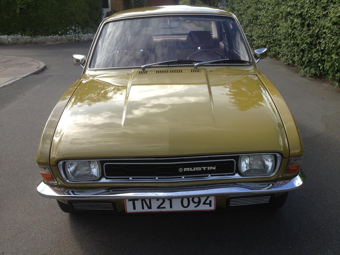 Austin Allegro billede 5