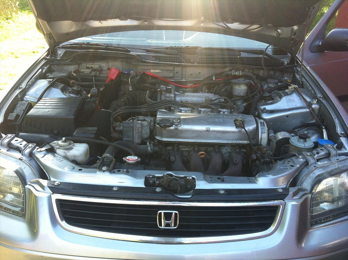 Honda Civic LS  billede 6