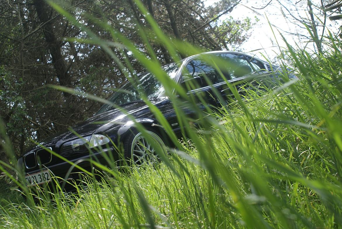 BMW e46 318i billede 15