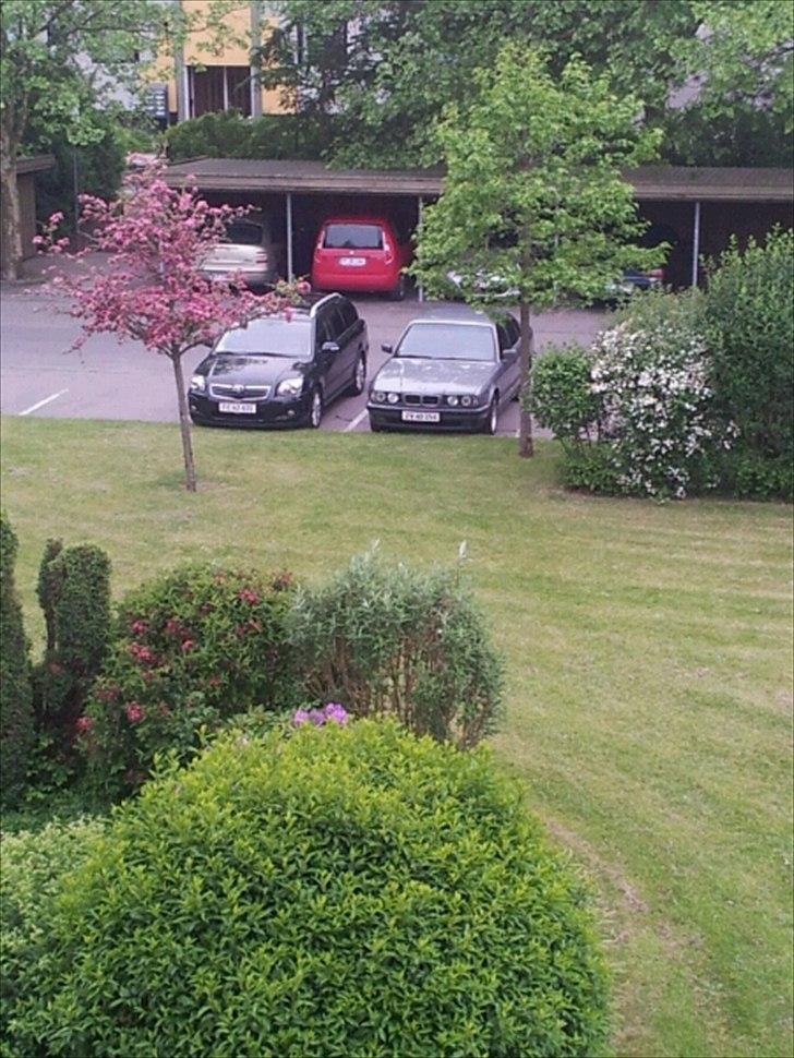 BMW E34 530i (Solgt) billede 2