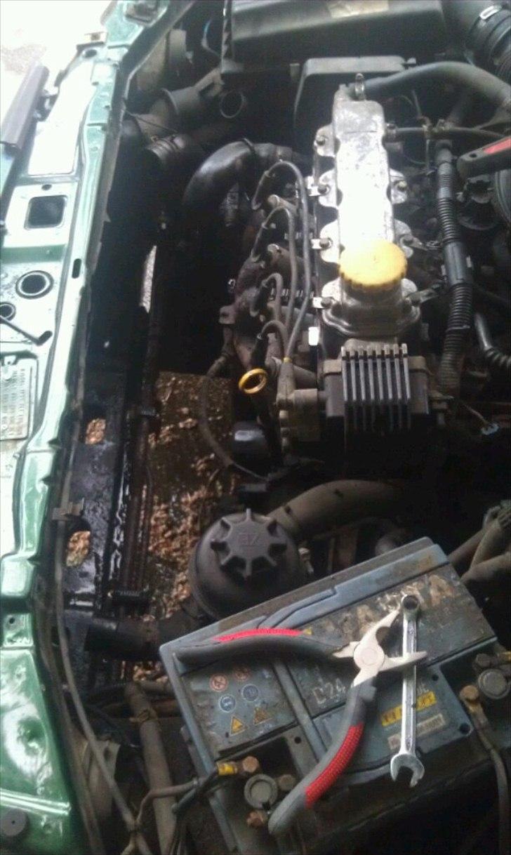 Opel Astra 1.6i Club - Det var nemmere at pille køleren ud for at skifte føler. Så var der pludselig meget plads :-) billede 16