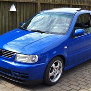 VW Polo 6N Colour Concept