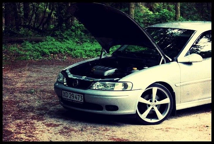 Opel Vectra B - Tak til kæresten for de fine billeder.
(Hun laver lidt freelance foto. Smid en PB hvis det har interesse). billede 4