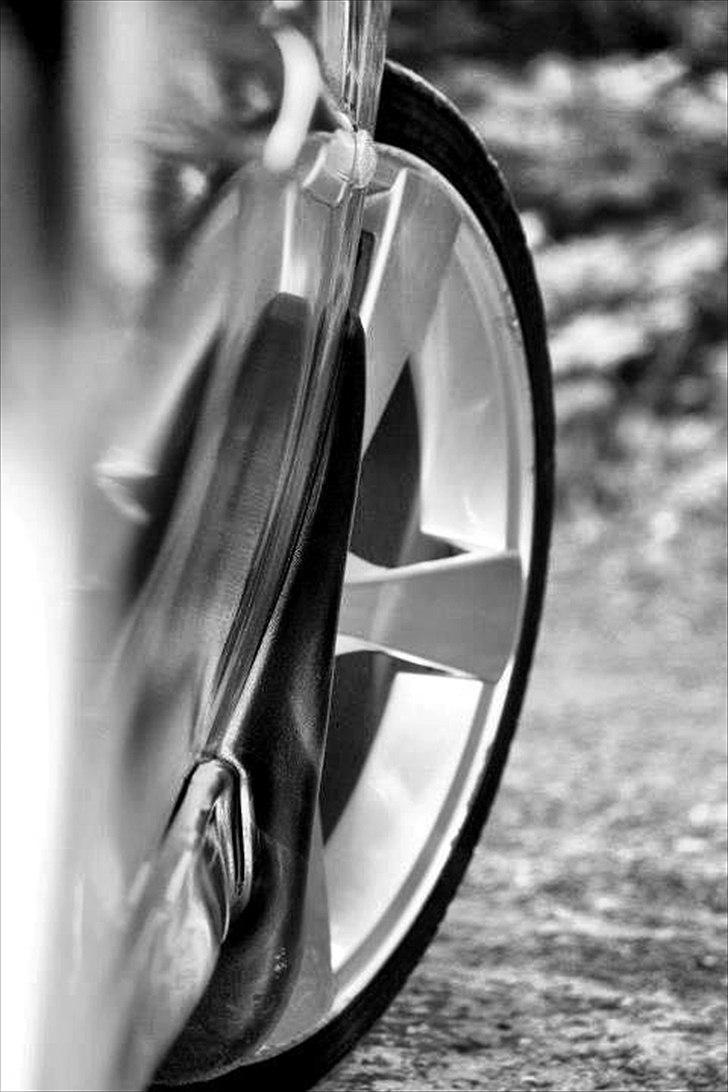 Opel Vectra B - Tak til kæresten for de fine billeder.
(Hun laver lidt freelance foto. Smid en PB hvis det har interesse). billede 17