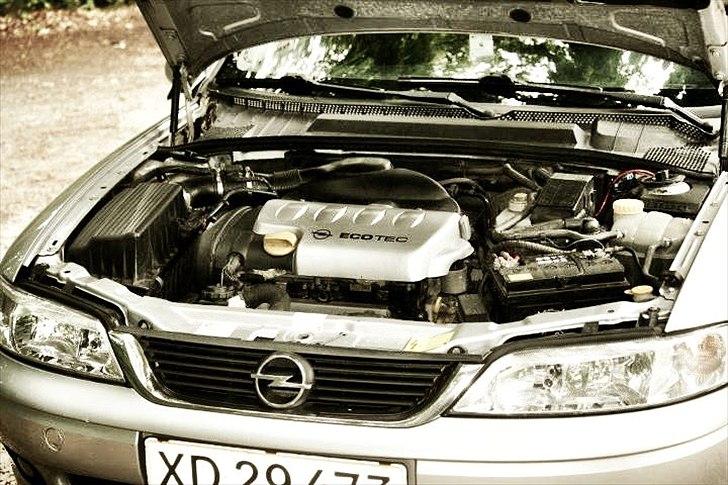 Opel Vectra B - Tak til kæresten for de fine billeder.
(Hun laver lidt freelance foto. Smid en PB hvis det har interesse). billede 5