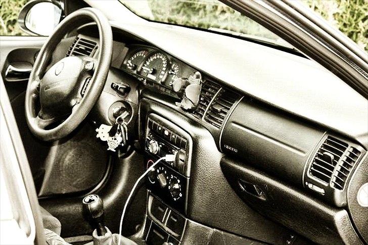 Opel Vectra B - Tak til kæresten for de fine billeder.
(Hun laver lidt freelance foto. Smid en PB hvis det har interesse). billede 15