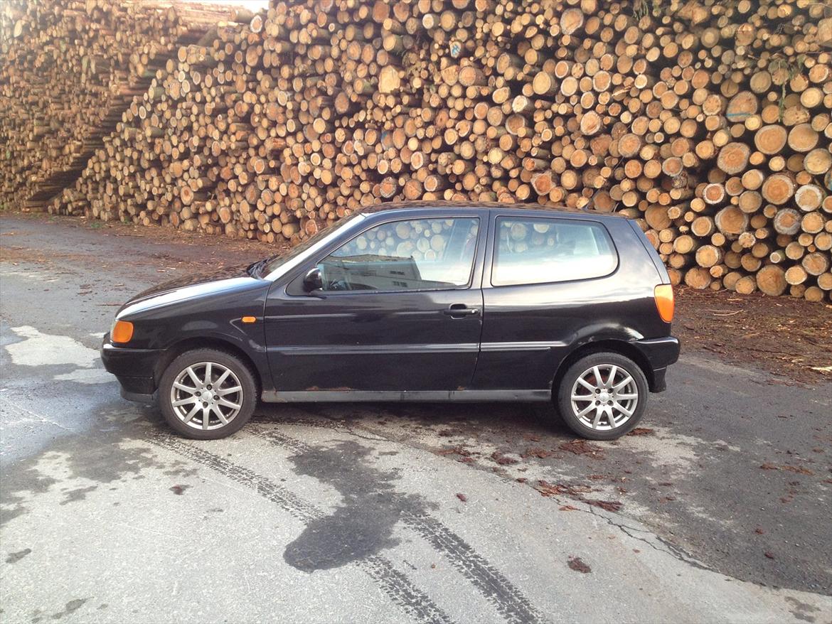 VW Polo 6N billede 3