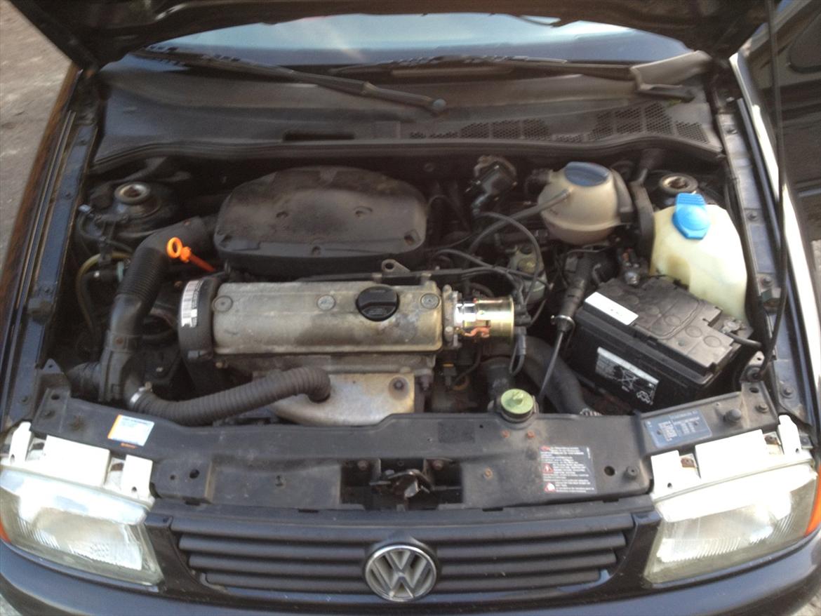 VW Polo 6N billede 10