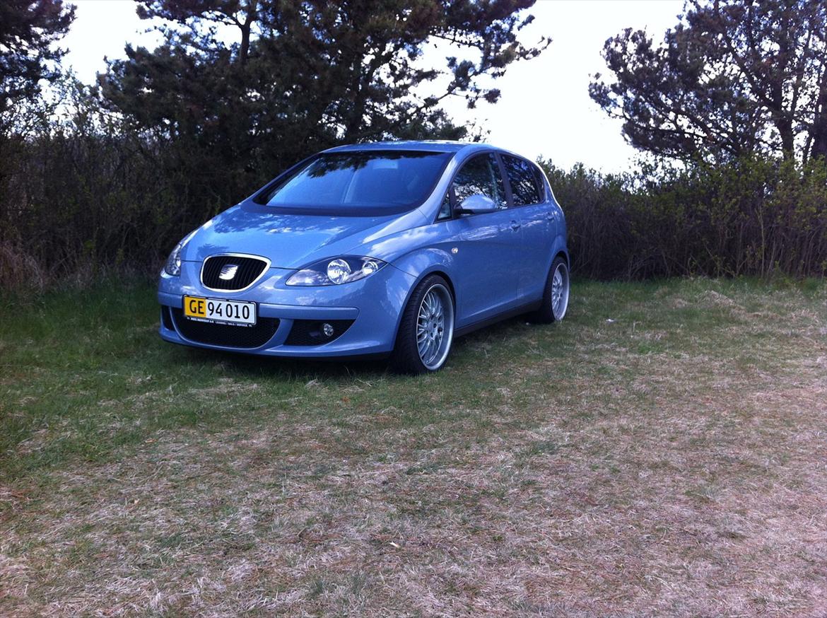Seat Altea billede 1