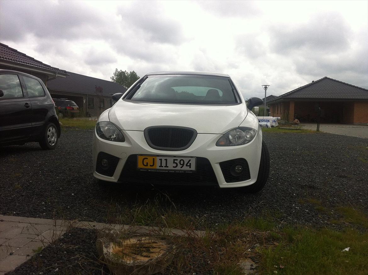 Seat Leon Cupra billede 1