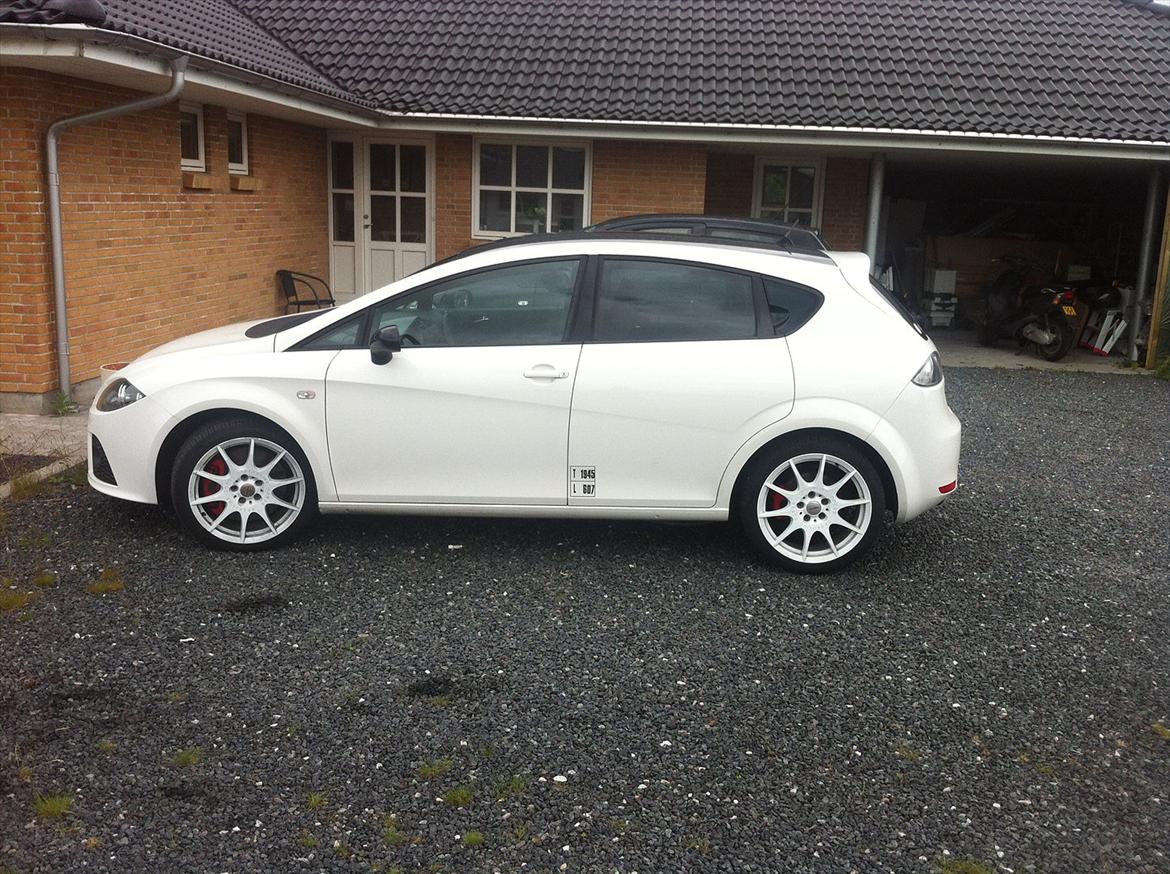 Seat Leon Cupra billede 3