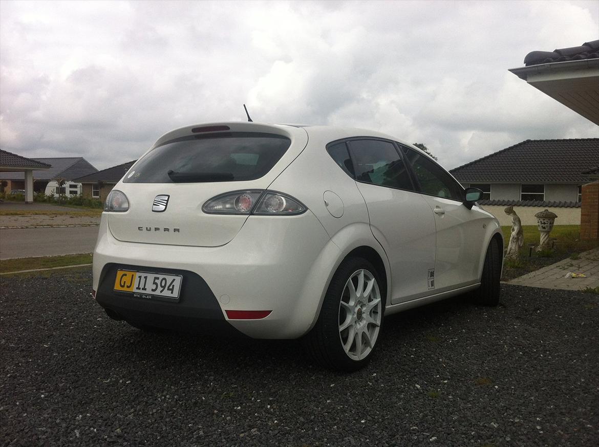 Seat Leon Cupra billede 4