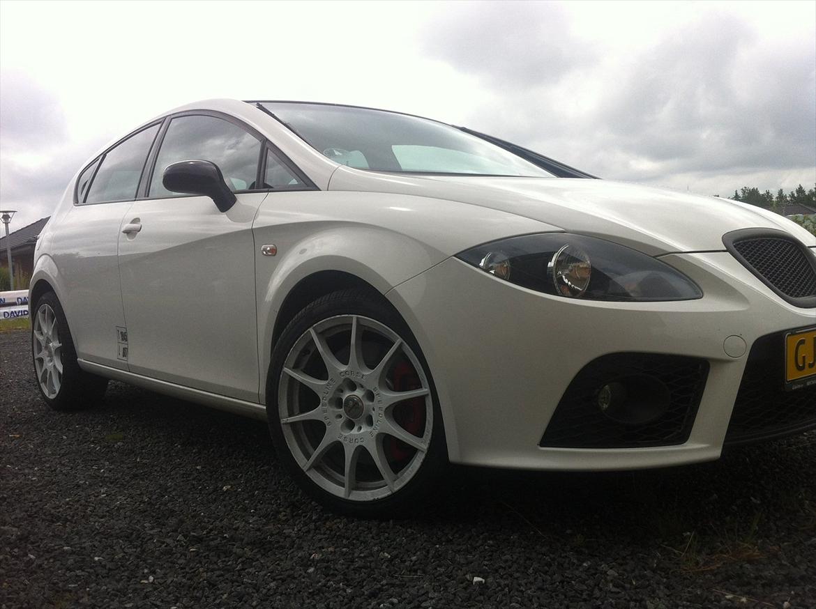 Seat Leon Cupra billede 8