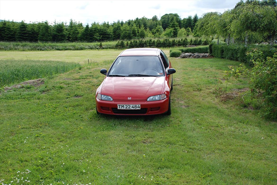 Honda civic  billede 11