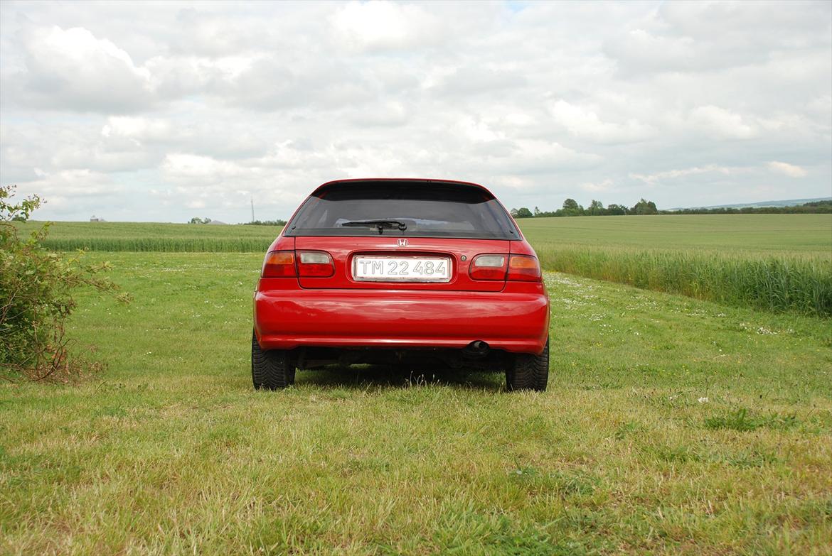 Honda civic  billede 15