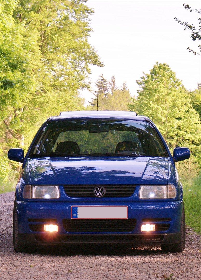 VW Polo 6N Colour Concept billede 1