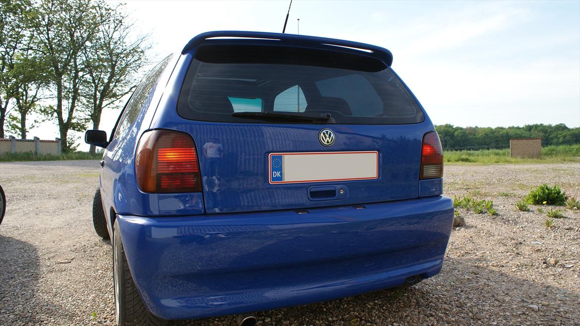 VW Polo 6N Colour Concept billede 4