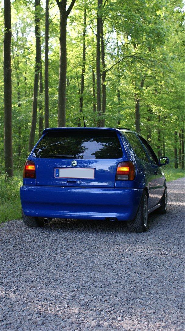 VW Polo 6N Colour Concept billede 5