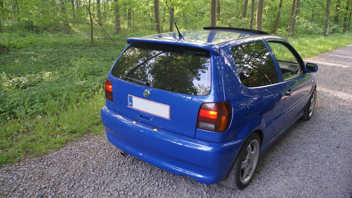 VW Polo 6N Colour Concept billede 6