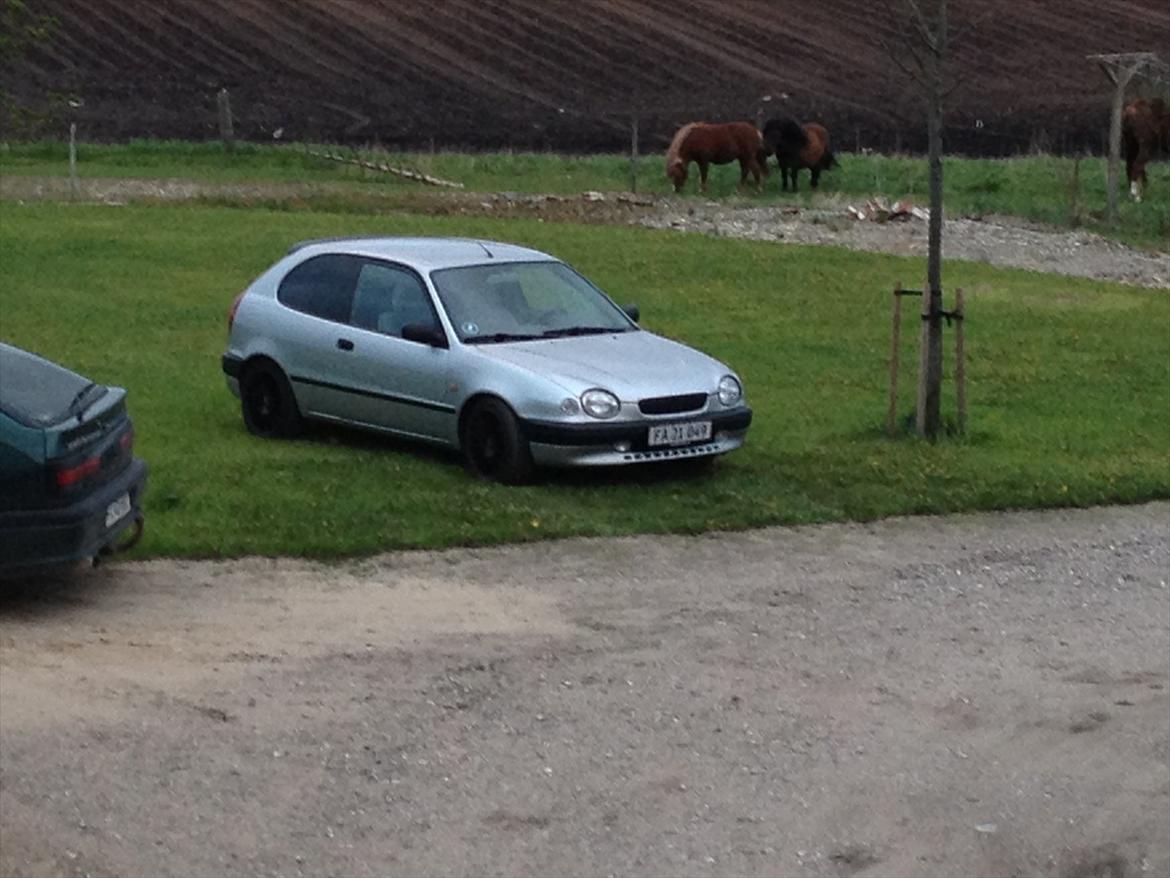 Toyota corolla e11 billede 8