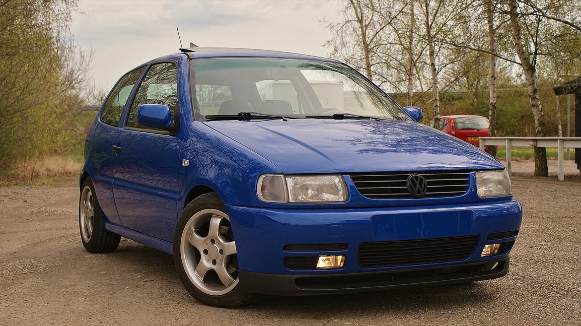 VW Polo 6N Colour Concept billede 9